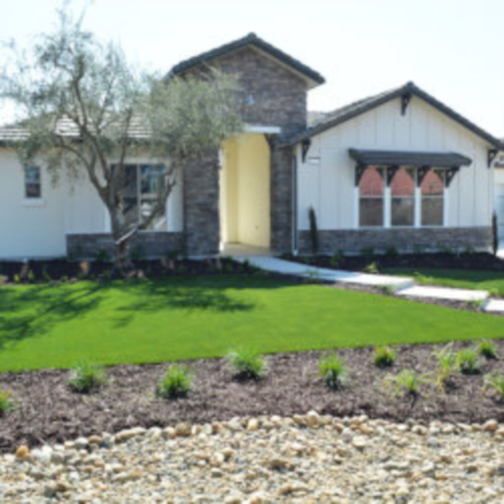 Artificial Lawn Maintenance Tips in Flagstaff